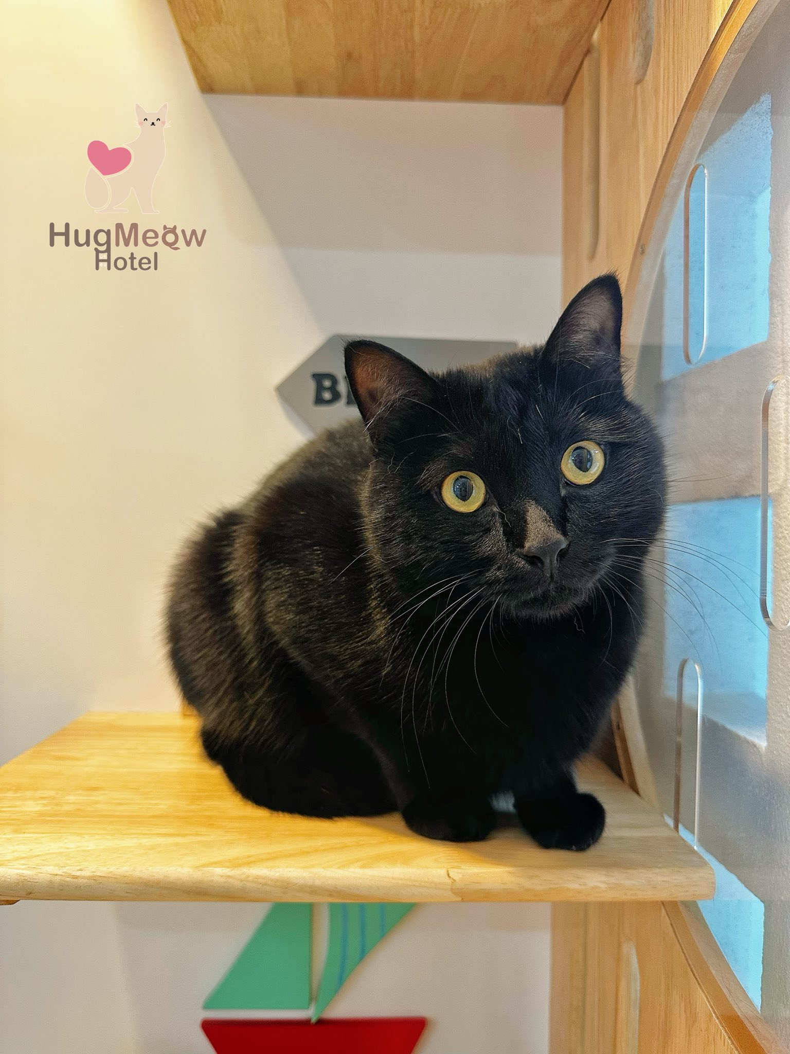 น้องแรมโบ้ HugMeow Hotel