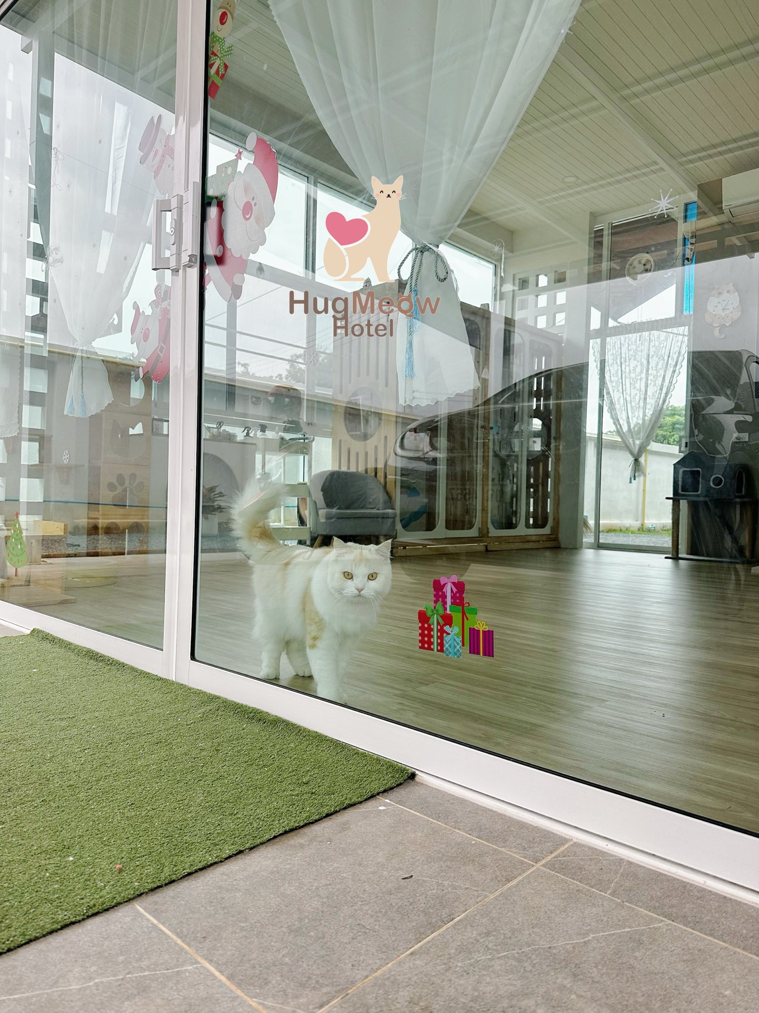 HugMeow Hotel บรรยากาศวิวธรรมชาติ เชียงราย