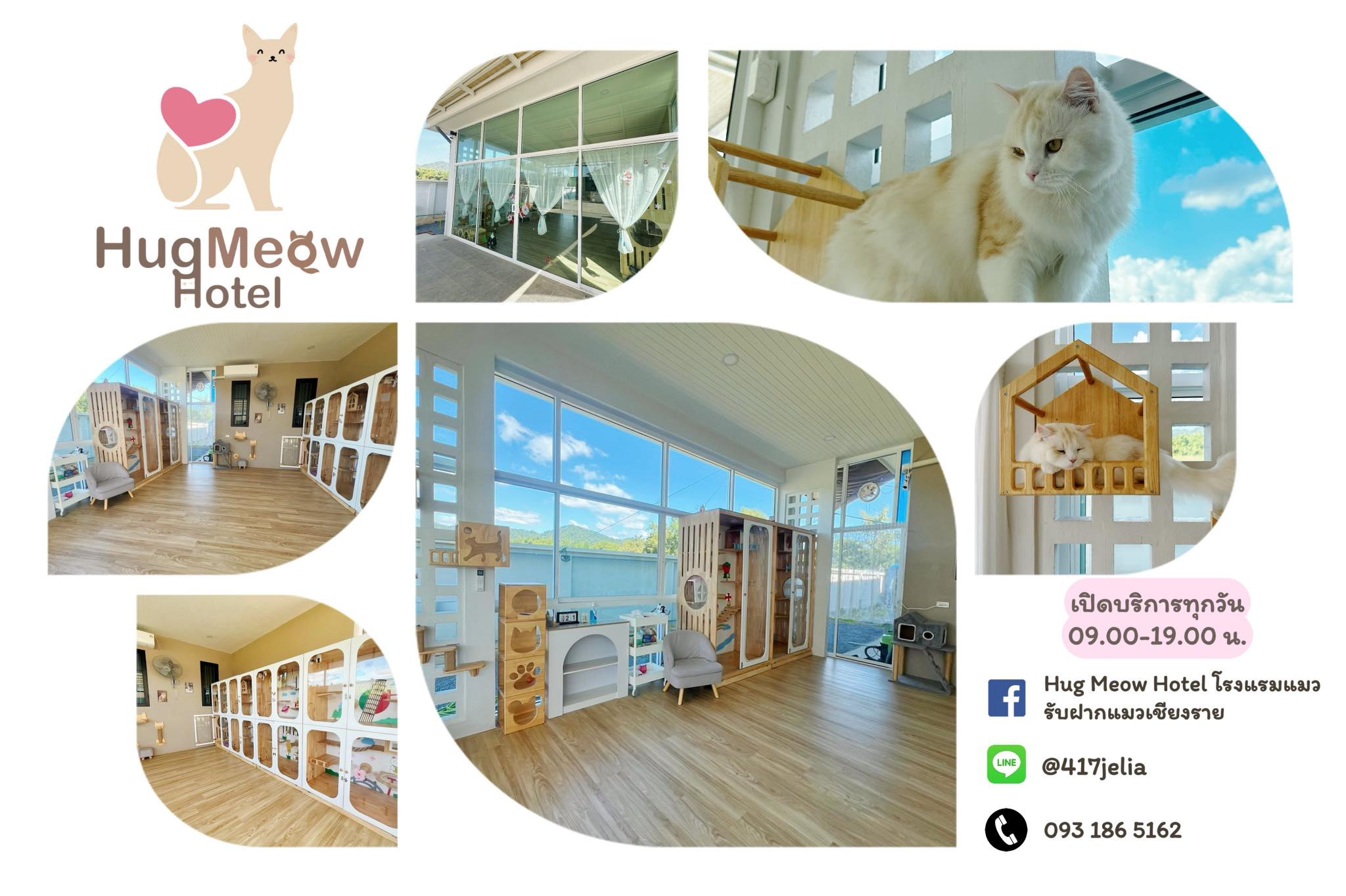น้องแมว HugMeow Hotel เชียงราย