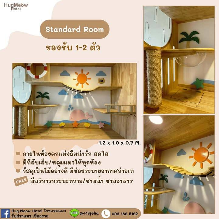 Standard Room HugMeow Hotel รับฝากแมวเชียงราย