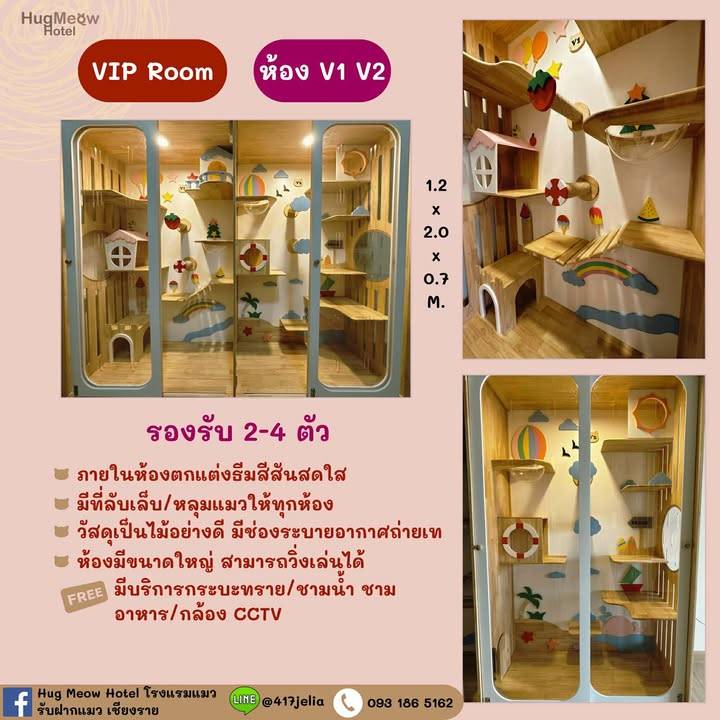 VIP Room HugMeow Hotel โรงแรมแมวเชียงราย